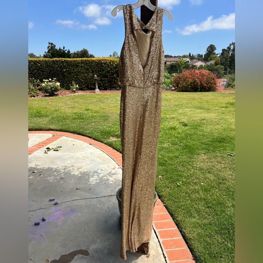 Sorella vita sequin gown